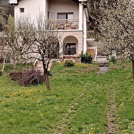 Apartment Honey And Milk Vrdnik Εξωτερικό φωτογραφία